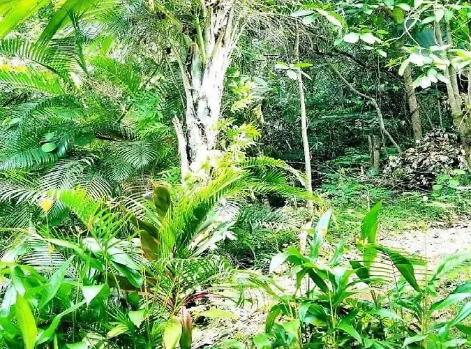 La Nature * О-Кап