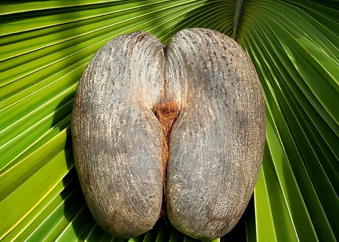 La Nature Апартаменты *