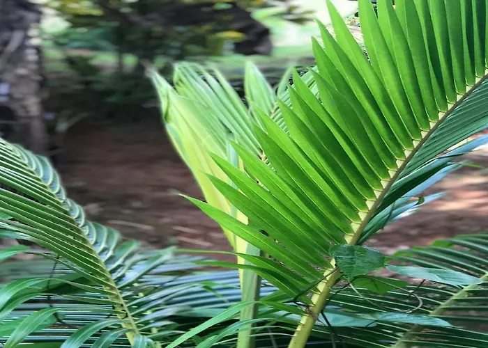 La Nature О-Кап