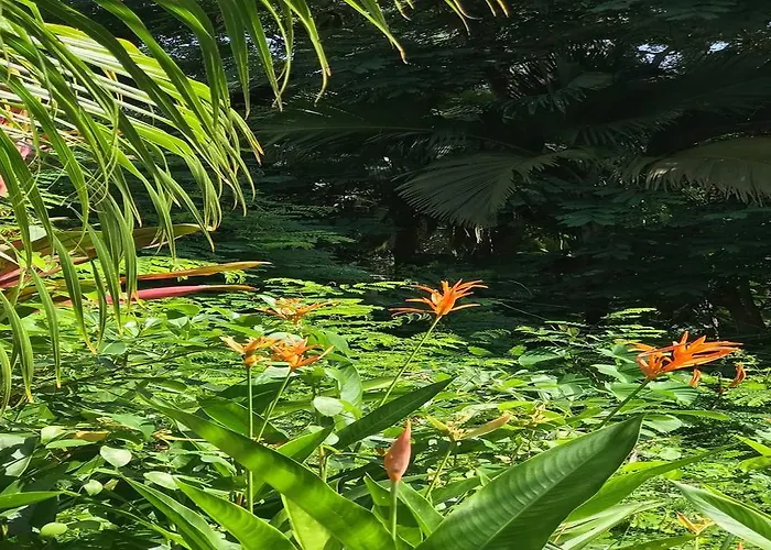 La Nature Апартаменты О-Кап